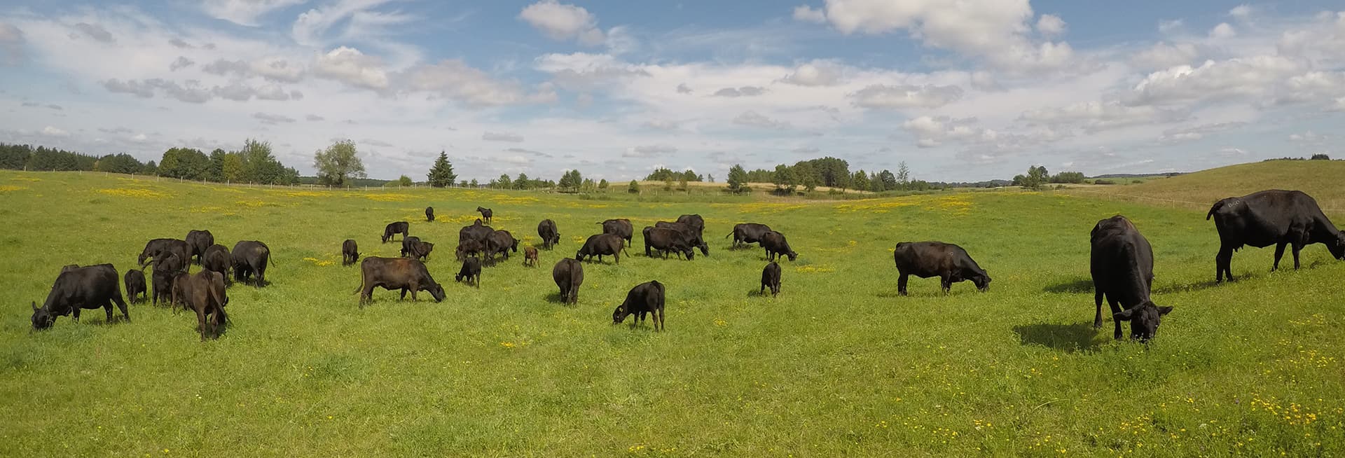 Organic farm